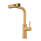 Kitchen Sink, Nickel Gold Kitchens with Pull out Sprayer, Bar Single Hole W1932P218070