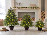 2FT, 3FT, 4FT, 3-Piece Pre-Lit Christmas Tree Set with Warm Glowing Lights, Sturdy Potted Base, and N710P523032F