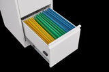 ZNTS 3 Drawer File with Lock Metal Vertical File Storage Office Home Steel Vertical File W1247P173371