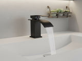 Single Handle Bathroom Faucet Lavatory Faucet Stainless Steel Single Hole-TP, Matte BlackUnable 08076153