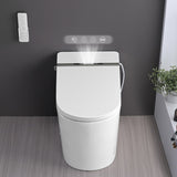 ZNTS Smart Toilet Bidet Combo with Foot Sensor Open Cover/Seat, LED Display, Self-Cleaning Nozzle, Heated W1219P262970