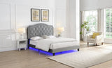 Upholstered Bed Button Tufted with Curve Design - Strong Wood Slat Support - Easy Assembly - Light W2297P268386
