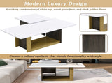 VIBE HAUS Modern Light Luxury Coffee Table Set of 2, Small Square Coffee End Table with Spacious N724P321447K