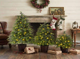 2FT, 3FT, 4FT, 3-Piece Pre-Lit Christmas Tree Set with Warm Glowing Lights, Sturdy Potted Base, and N710P523032F