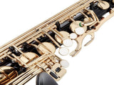 Alto Saxophone E-Flat Alto SAX Eb with 11reeds, case,carekit, Black Color 54900076
