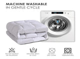 Two-pack of 100% polyester brushed single quilted comforters with microfiber filling, down 90757805