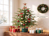 2 FT Rotating Pre-Lit Mini Christmas Tree with 8 Songs, Warm White LED Lights, PE Artificial Spruce 20392552