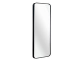 Black 47 x 14IN Door mirror. W2203P310392