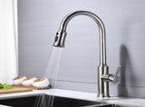 Kitchen Faucet with Pull Out Spraye 66331531