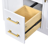 36'' Bathroon Vanity with Ceramic Sink Combo Set,Modern Freestanding Single Bathroom Cabinet with 4 N710P247494K