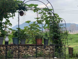 Garden Arch Arbor Trellis for Climbing Plants with Gate, Durable Metal Garden Arch Outdoor Wedding W840P321539