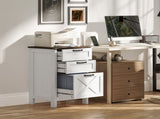 File Cabinet/ Storage cabinet 42817158