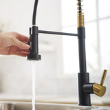 Commercial Black and Nickel Gold Faucet with Pull Out Sprayer, Single Handle Single Lever W1932P172336