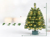 2 Pack 24" Rotating Pre-Lit Mini Christmas Tree with 8 Music Tracks, 35 Warm White LEDs, PVC 06111500