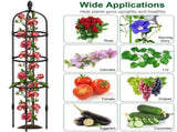 2 Packs Garden Obelisk Trellis 5.9FT Plants Tower for Climbing Plants Flower Vegetable Vine Support 84045793