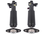 Pair Rear Left & Right Shock Absorbers Fit for Cadillac SRX 2010-2016 Saab 9-4X 2011 with Damper 78774527