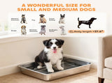 Dog Potty Tray 81899521