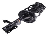 2pcs Front Struts Coil Springs Assembly fit for Toyota Camry 2.5L SE XSE 2012-2017 01107051