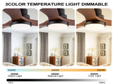 72 Inch Ceiling Fan with LED Light, 3Blade Black Walnut Wooden Fan, DC Motor, 6Speed & 1/4/8H W3816P585758