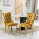 A&A Furniture,Nikki Collection Modern, High-end Tufted Solid Wood Contemporary Velvet Upholstered W1143P151483