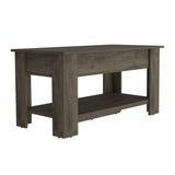 Daffodil Bench, Liftable Top And Lower Panel B128P148903