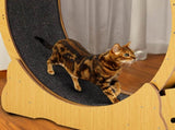 Cat Wheel Exerciser for Indoor Cats, 39.4-inch Large Cat Exercise Wheel for Running Silent, Cat 28135917