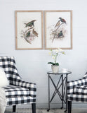 S/2 Bird Framed Print, 19.5x27.5" W2078P205301