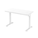 ZNTS Glass tabletop standing desk
White W141164002