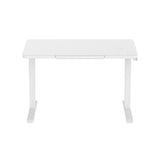 ZNTS Glass tabletop standing desk
White W141164002