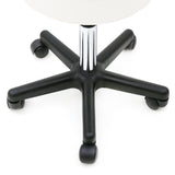 ZNTS Round Shape Plastic Adjustable Salon Stool with Back White 60991978