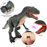 ZNTS Remote Control R/C Walking Dinosaur Toy with Shaking Head, Light Up Eyes & Sounds , 20896368
