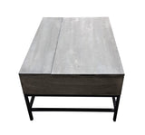 ZNTS T1105-05 Gray Lift Top Coffee Table B009140752