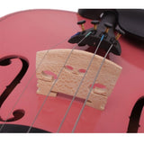 ZNTS New 4/4 Acoustic Violin Case Bow Rosin Pink 21037626