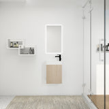 ZNTS Bathroom Vanity With Single Gel Sink,Soft Close Doors,16 Inch For Small Bathroom W99970002