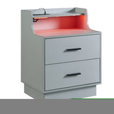 ZNTS Multifunctional Nightstand with 2 Drawers, Shelf with USB Charging Design, Color-Changing LED, Gray WF298056AAE