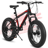 ZNTS S20109 Ecarpat 20 Inch Kids Bike, 4" Inch Fat Tire Mountain Bike for Ages 8-12 Boys Girls, 7 Speed W2233142112
