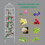 ZNTS 2 Pack Metal Garden Trellis 86.7" x 19.7" Rustproof Trellis for Climbing Plants Outdoor Flower W1586104502