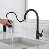 ZNTS Kitchen Faucet with Pull Out Spraye 70313518