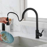 ZNTS Kitchen Faucet with Pull Out Spraye 70313518