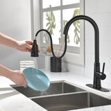ZNTS Single Handle High Arc Pull Out Kitchen Faucet,Single Level Stainless Steel Kitchen Sink Faucets 30523616