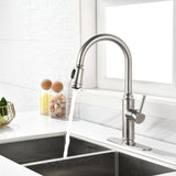 ZNTS Single Handle High Arc Pull Out Kitchen Faucet,Single Level Stainless Steel Kitchen Sink Faucets 34941911