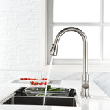 ZNTS Single Handle High Arc Pull Out Kitchen Faucet,Single Level Stainless Steel Kitchen Sink Faucets 57490800