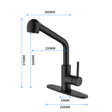 ZNTS Single-Handle Pull-Out Sprayer Kitchen Faucet in Stainless Matte Black 23616223
