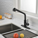 ZNTS Single-Handle Pull-Out Sprayer Kitchen Faucet in Stainless Matte Black 23616223