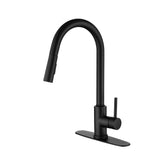 ZNTS Single Handle High Arc Pull Out Kitchen Faucet,Single Level Stainless Steel Kitchen Sink Faucets 20417075