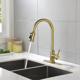ZNTS Single Handle High Arc Pull Out Kitchen Faucet,Single Level Stainless Steel Kitchen Sink Faucets 25914519