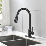 ZNTS Single Handle High Arc Pull Out Kitchen Faucet,Single Level Stainless Steel Kitchen Sink Faucets 75411374