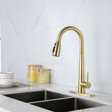 ZNTS Gold Kitchen Faucets with Pull Down Sprayer, Kitchen Sink Faucet with Pull Out Sprayer,Fingerprint 93404954