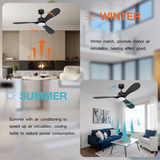 ZNTS 52“ Smart Ceiling Fans with Lights Remote,Quiet DC Motor,Modern Black Outdoor Indoor Ceiling 07180195