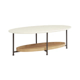 ZNTS Coffee Table B03548839